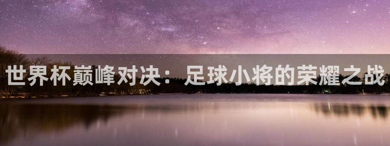 世预赛直播:世界杯巅峰对决:足球小将的荣耀之战