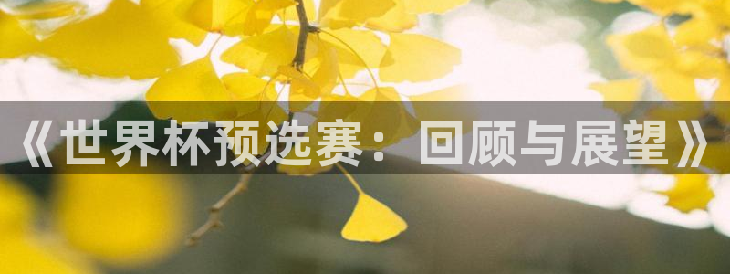 世界杯亚洲区预选赛:《世界杯预选赛:回顾与展望》