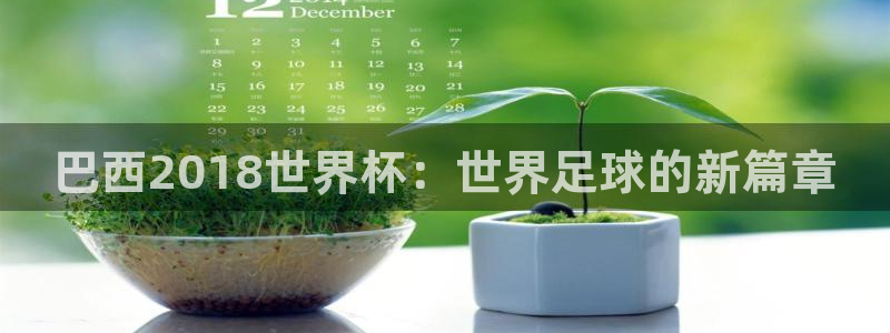 2026足球世界杯:巴西2018世界杯:世界足球的新篇章