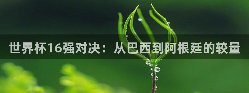 2026年世界杯:世界杯16强对决:从巴西到阿根廷的较量