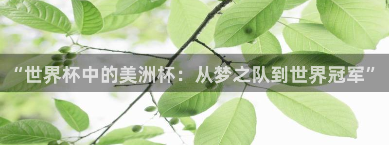 2026世界杯足球赛程时间表:“世界杯中的美洲杯:从梦之队到世界冠军”