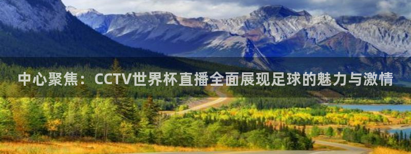 2026年世界杯直播平台:中心聚焦:CCTV世界杯直播全面展现足球的魅力与激情