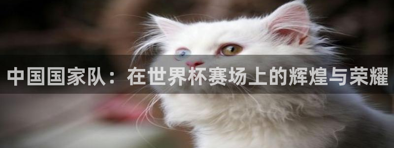 世界杯直播网:中国国家队:在世界杯赛场上的辉煌与荣耀