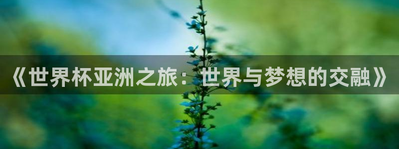 世界杯预选赛亚洲区赛程:《世界杯亚洲之旅:世界与梦想的交融》